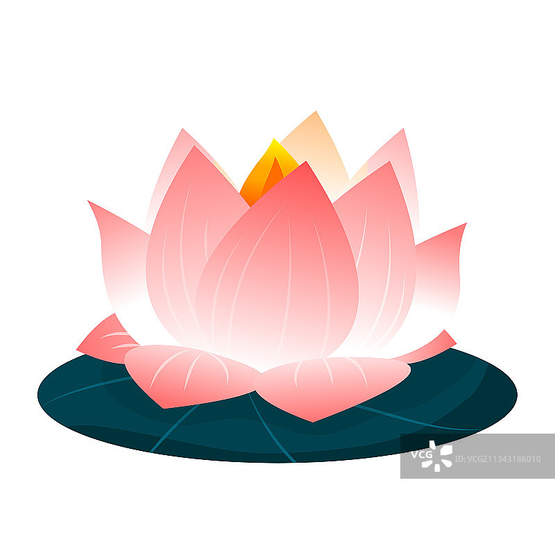 荷花灯图片素材