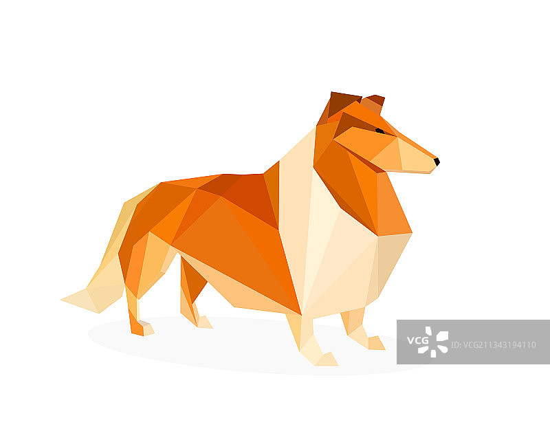 多边形粗毛牧羊犬图片素材