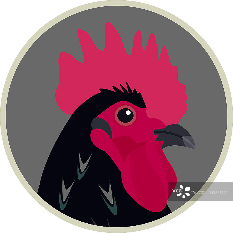 澳洲黑鸡公鸡扁平图标图片素材