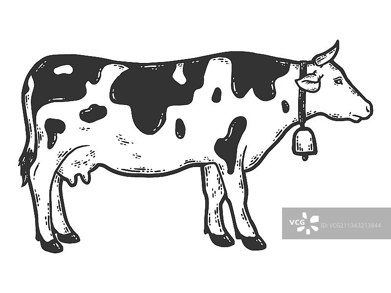 脖子上挂着铃铛的牛素描刮板图片素材