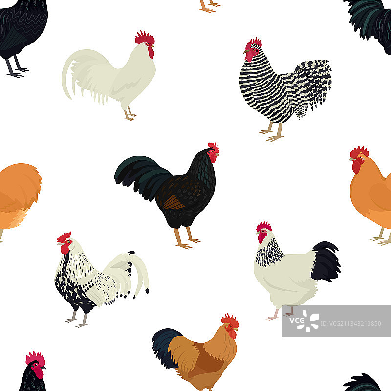 公鸡扁平风格无缝图案图片素材