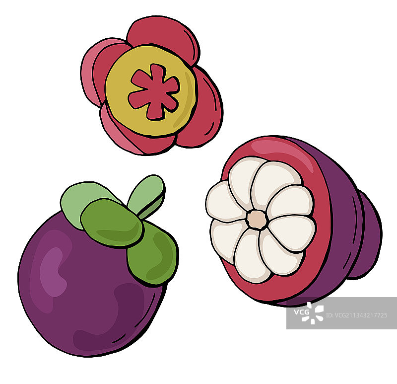 山竹果实与花朵组合图片素材