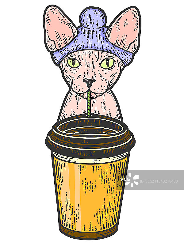 咖啡店斯芬克斯猫喝咖啡素描图片素材