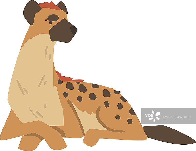 斑点鬣狗图片素材