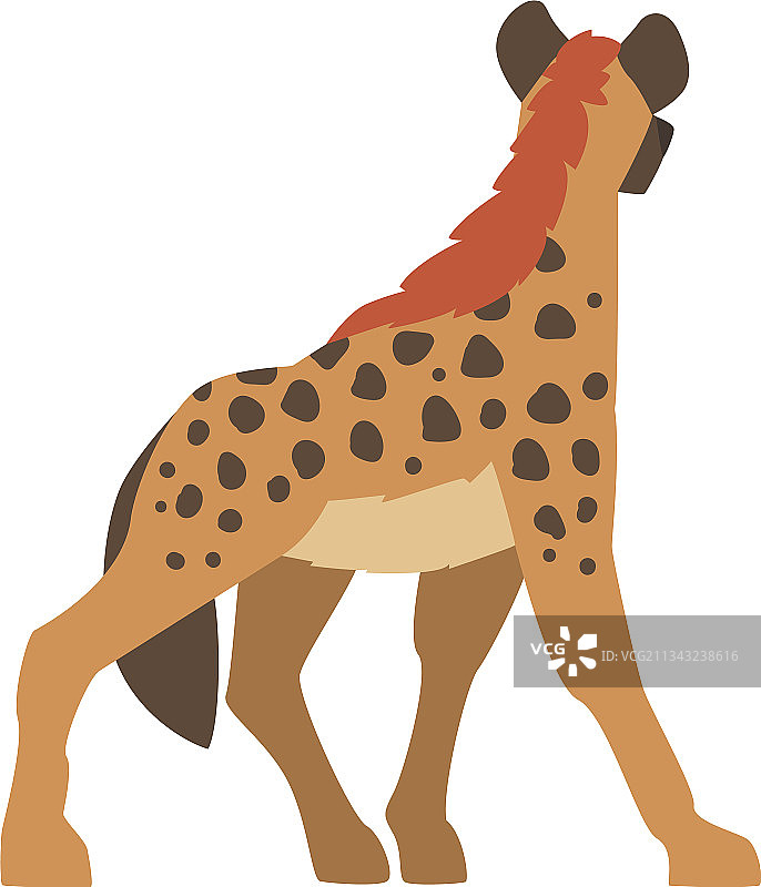 斑点鬣狗图片素材