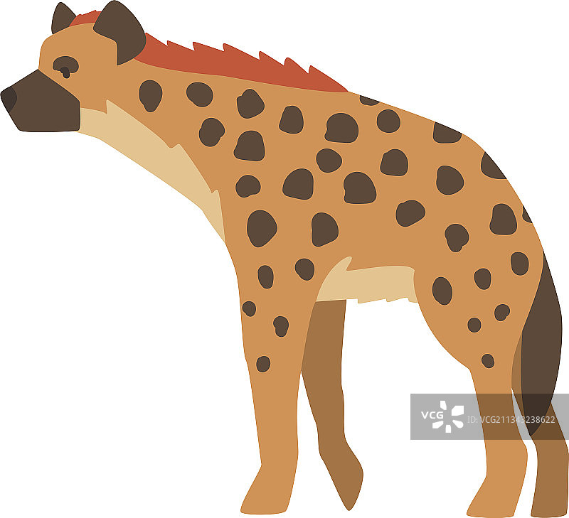 斑点鬣狗图片素材