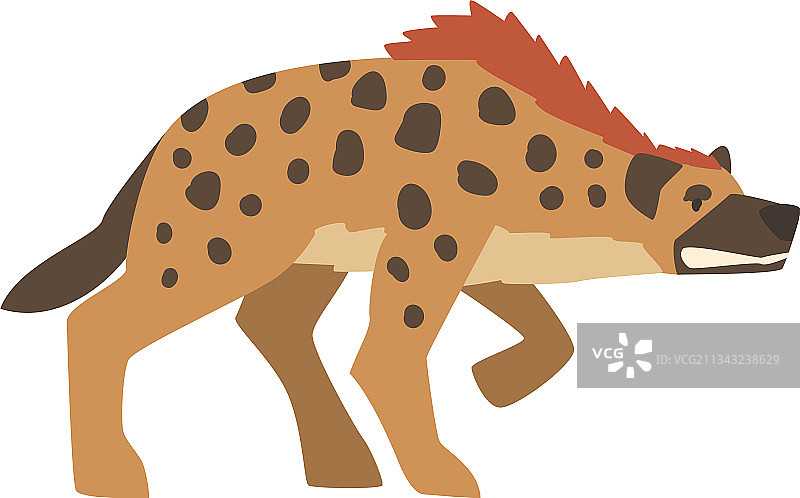 斑点鬣狗图片素材