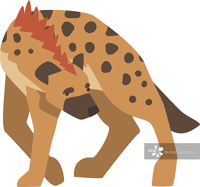 斑点鬣狗图片素材