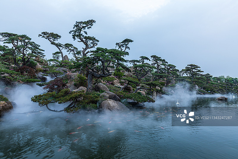 北京现代园林中松树的造型美图片素材