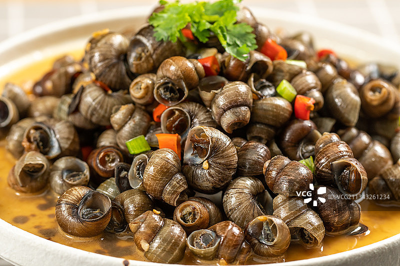 红烧螺丝图片素材