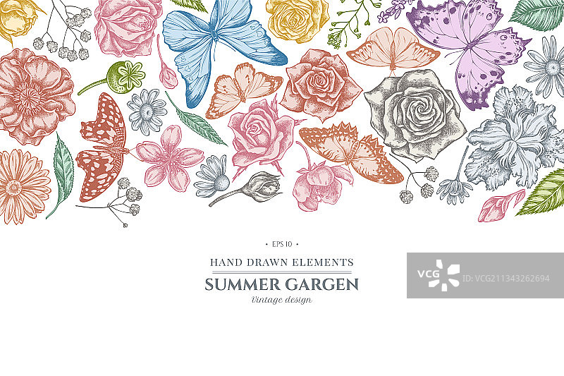 粉色碎米荠花卉设计图片素材