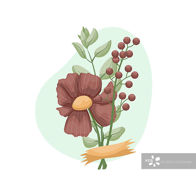 植物标本室的树叶和花卉花束图片素材