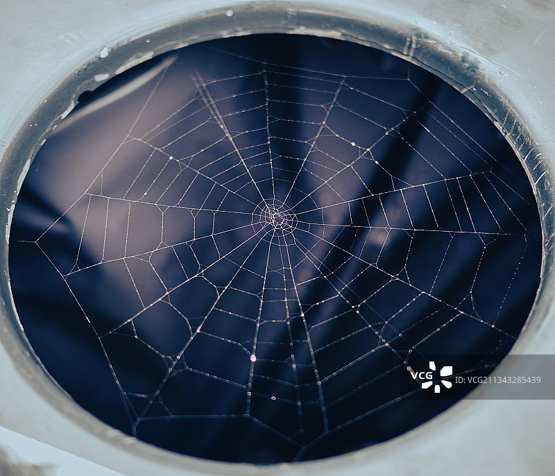 蜘蛛网特写图片素材