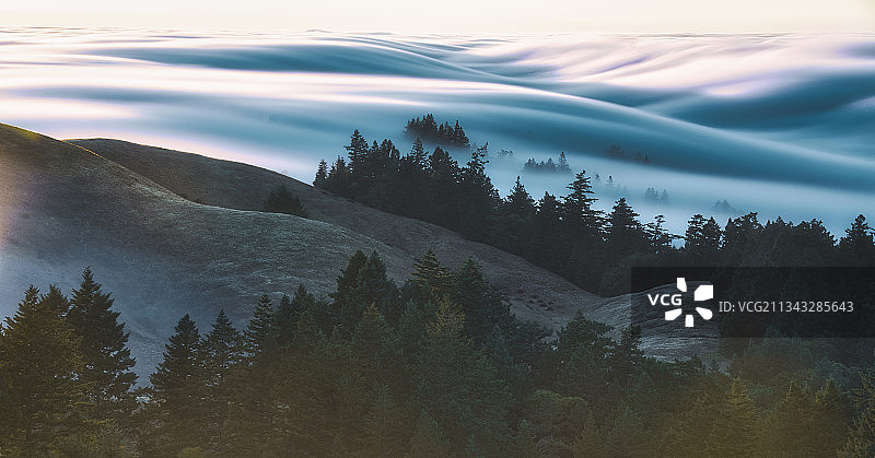 美国加州塔玛佩利斯山森林的壮丽景色图片素材