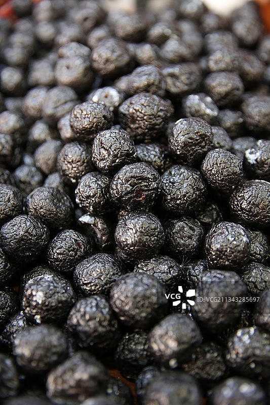 天山乌梅图片素材