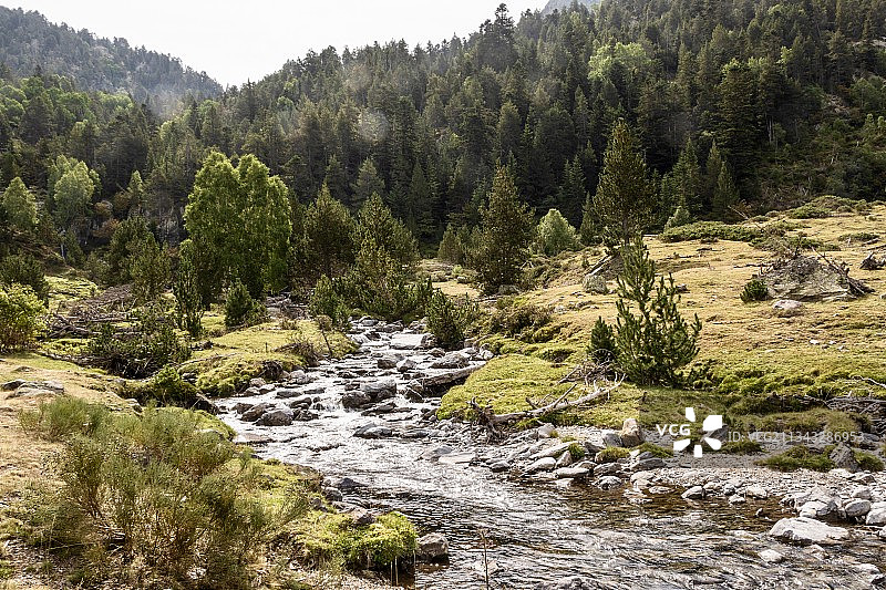 西班牙加泰罗尼亚莱里达森林河流风光图片素材