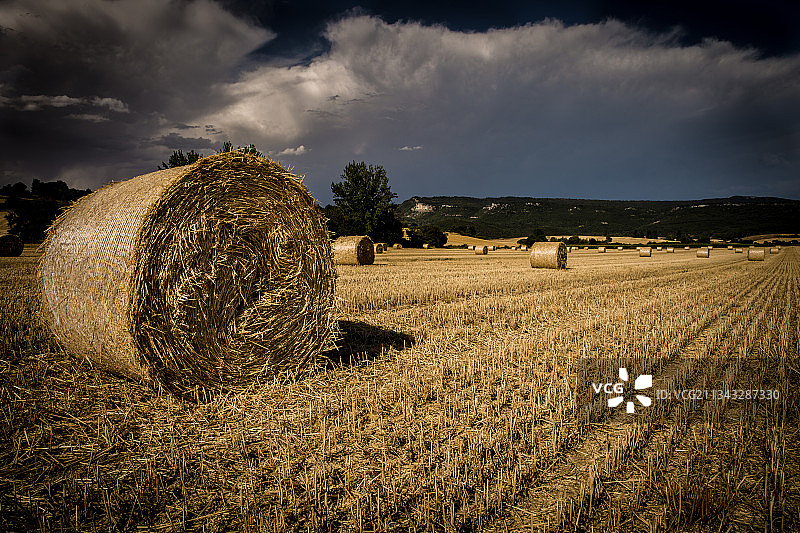 西班牙地区的田野风光图片素材