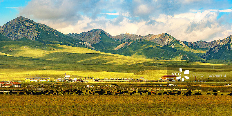 若尔盖花湖湿地风光图片素材