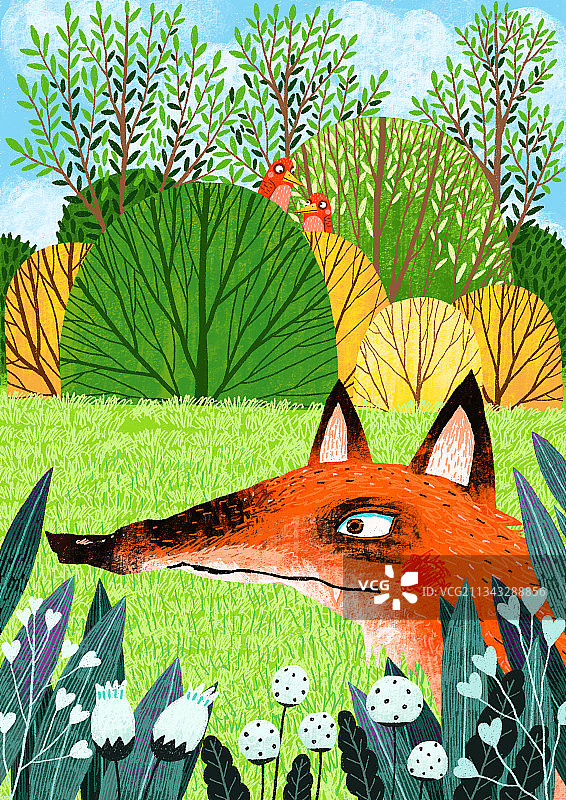 动物主题插画-草地上的红狐狸图片素材