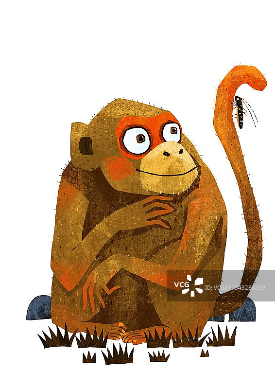 动物主题插画-蹲在地上的猴图片素材