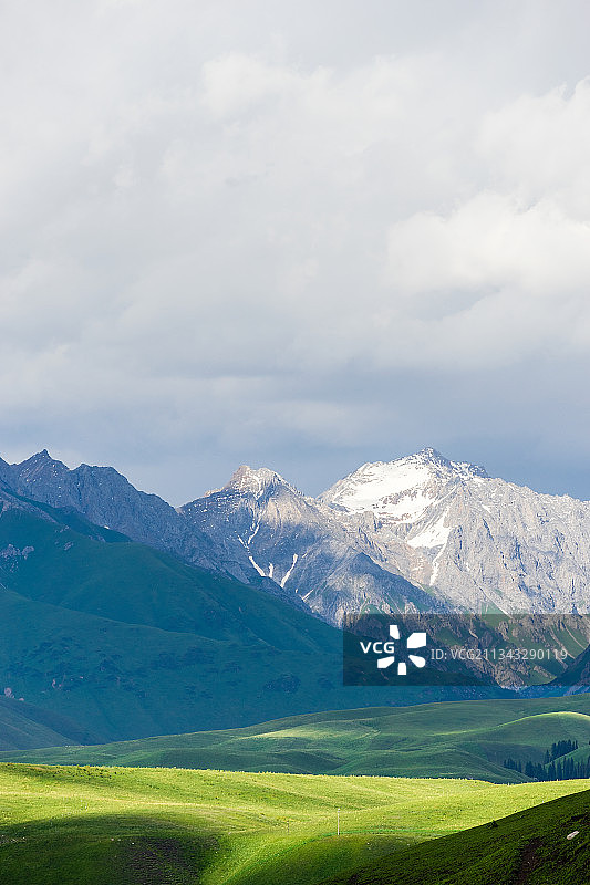 夏季阳光下新疆南疆雪山草原鸟图片素材