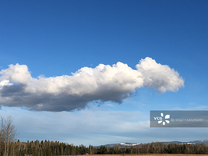 加拿大不列颠哥伦比亚省的田野风光图片素材