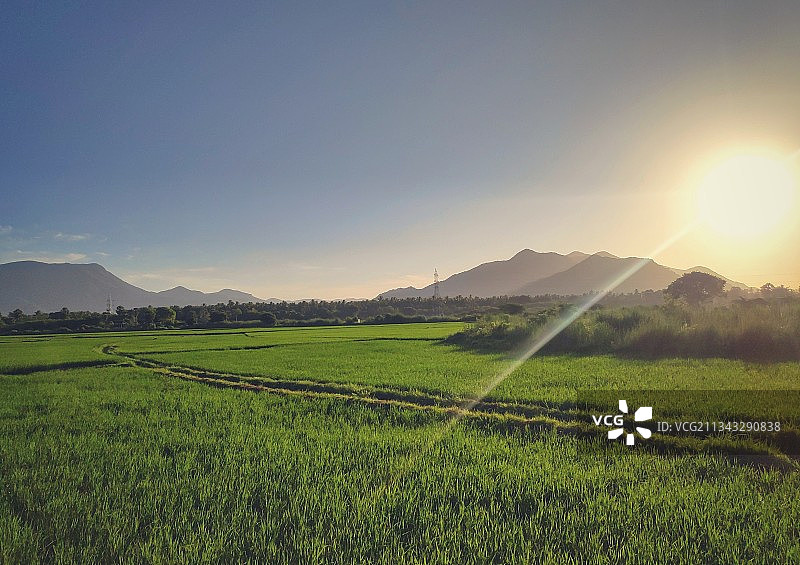 天空映衬下的农田风景图片素材