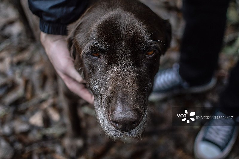 男子站在俄勒冈州锡莱兹湾田野上的下半身照片，美国图片素材
