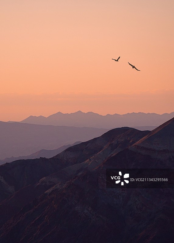 死亡谷日落时分飞鸟剪影图片素材