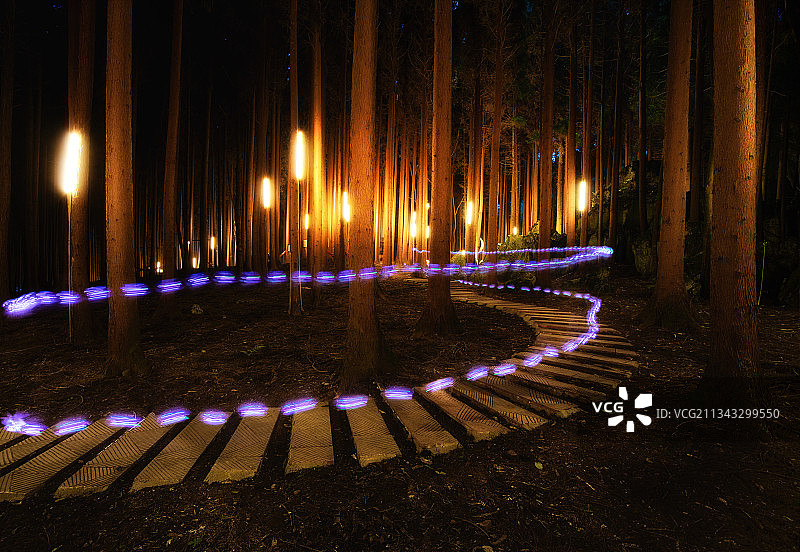 林中幽灵图片素材