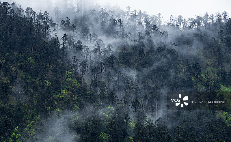 秘境墨脱图片素材
