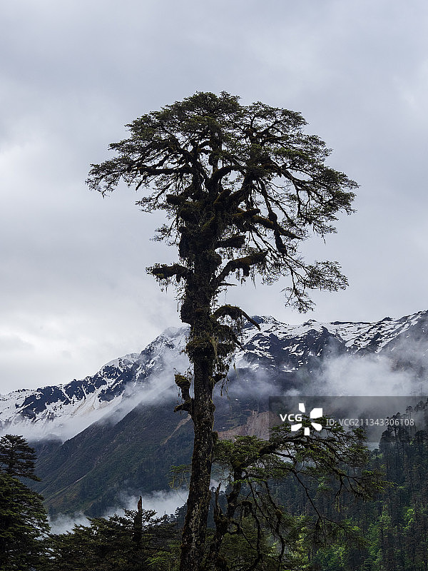 秘境墨脱图片素材