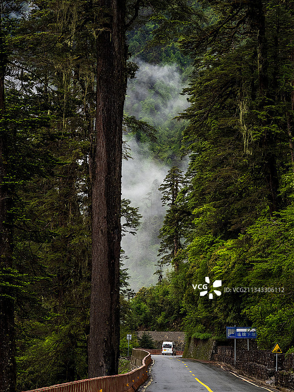 秘境墨脱图片素材