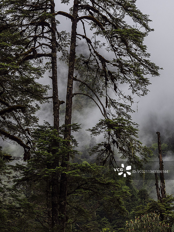 秘境墨脱图片素材