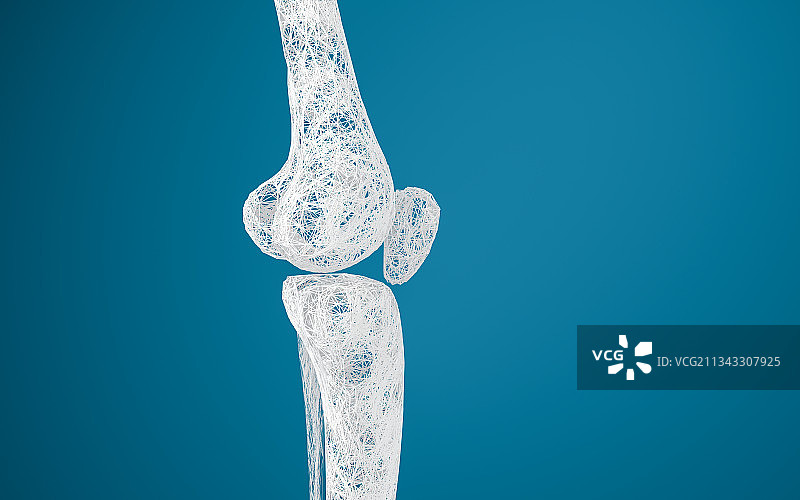 腿部膝盖骨骼 3D渲染图片素材