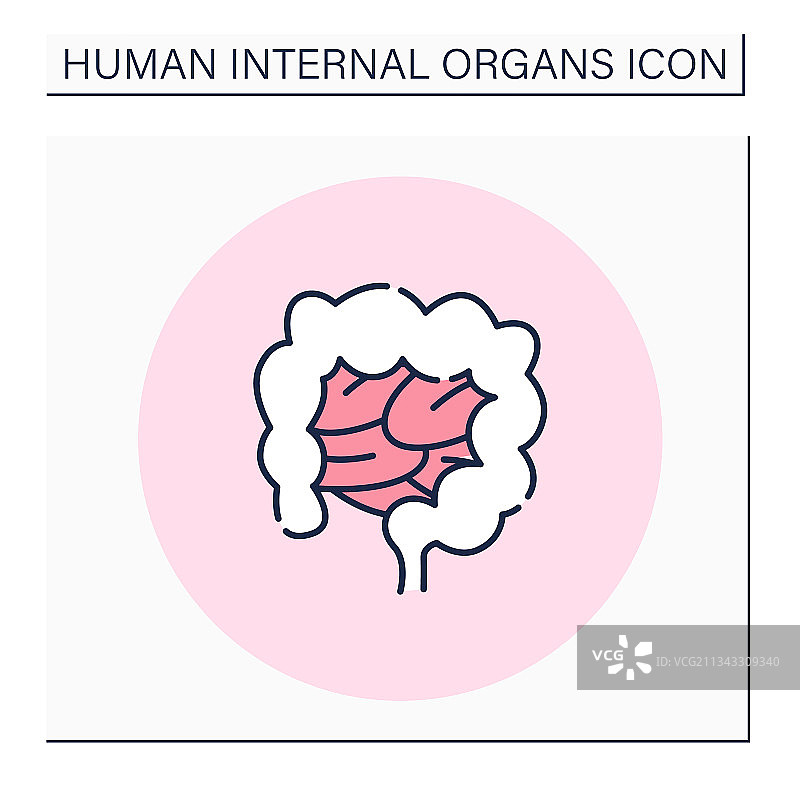 肠道彩色图标图片素材