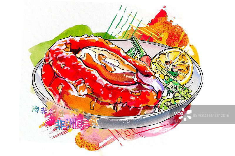 非洲美食手绘插画 海鲜 贝壳 南非鲍鱼 背景海报图片素材