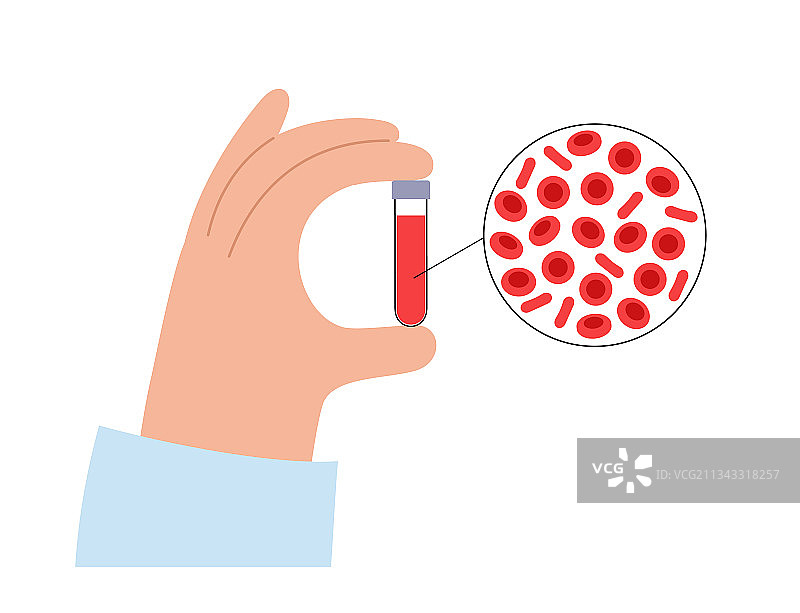 血液结构概念图片素材