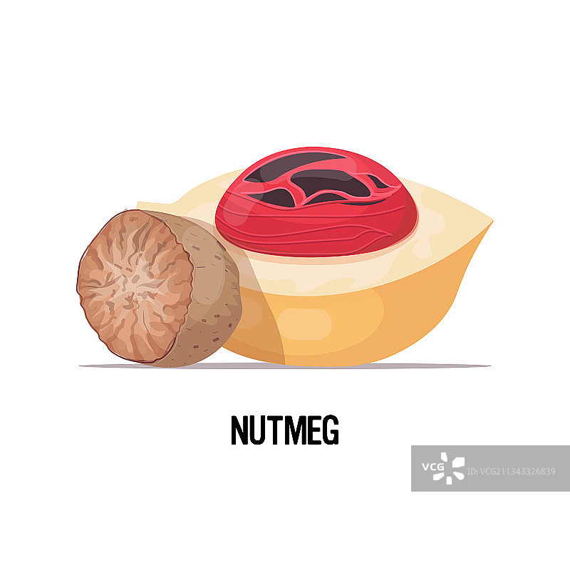 白色背景下成熟的肉豆蔻图片素材