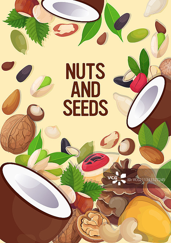 不同坚果和种子组合的健康搭配套装图片素材