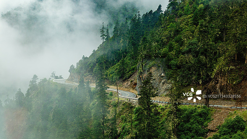 云雾弥漫的川西亚丁景区山地公路图片素材