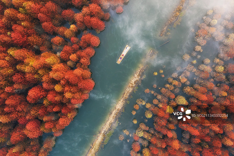 宁国水杉林图片素材