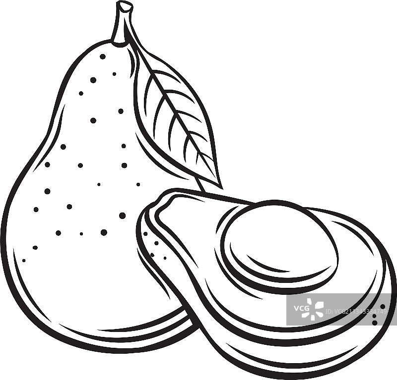 鳄梨水果轮廓图标图片素材