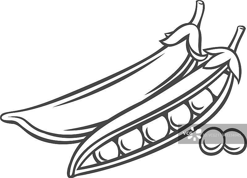 青豌豆蔬菜轮廓图标图片素材