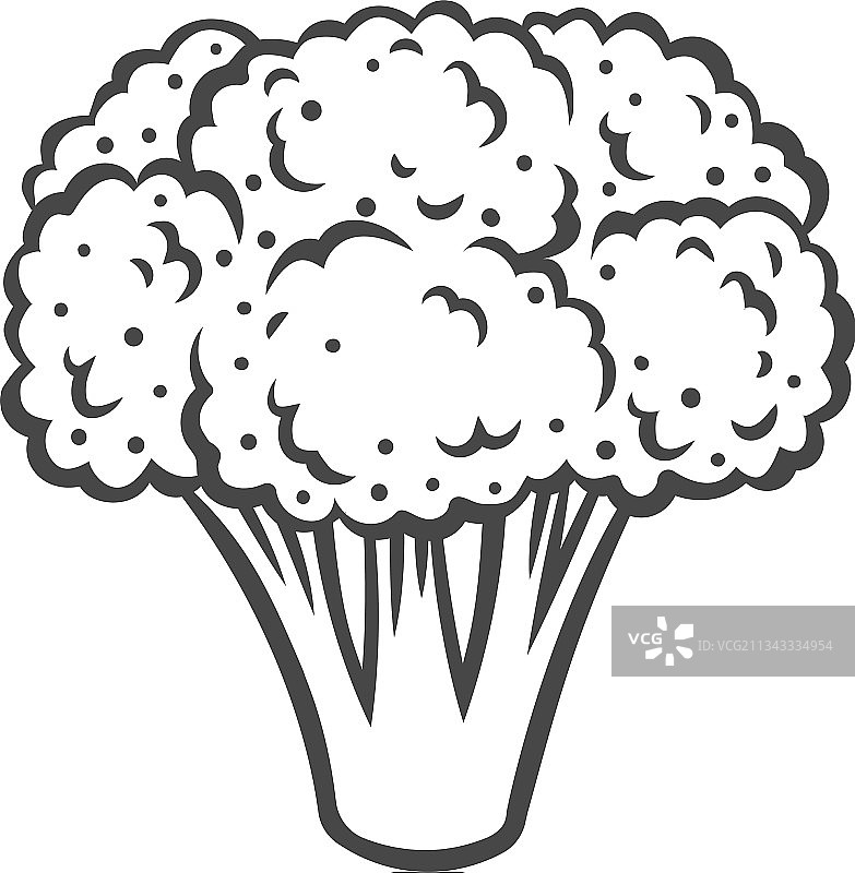 西兰花蔬菜轮廓图标图片素材