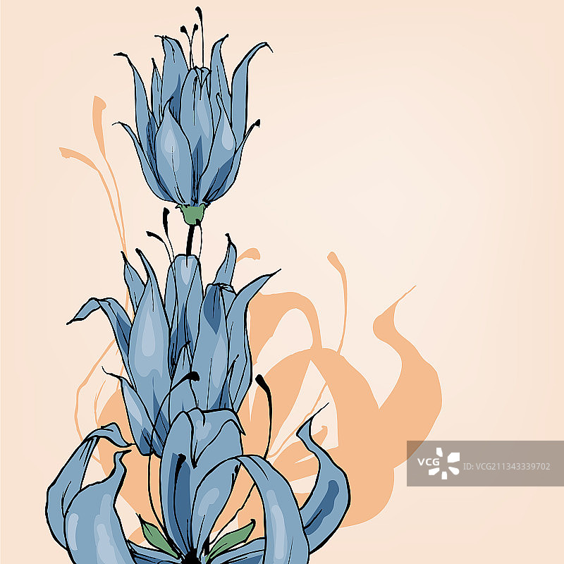 蓝铃花贺卡图片素材