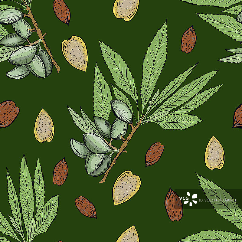 无缝杏仁图案图片素材