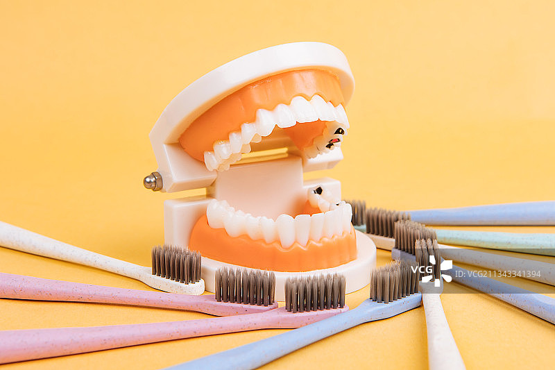 牙刷头围住牙齿保护牙齿健康图片素材