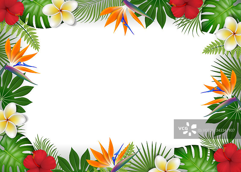 热带树叶和鲜花夏季边框图片素材