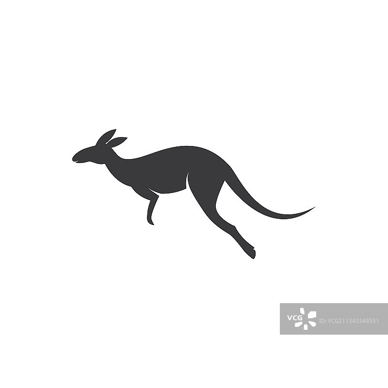 袋鼠设计图片素材